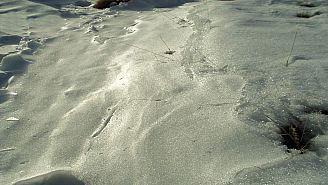 7109P031.jpg